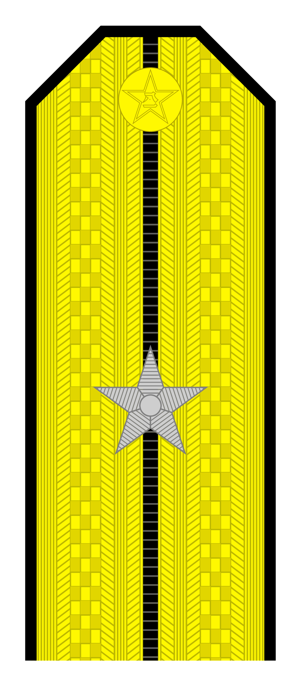 50年代解放军军衔肩章图解,55式上将军衔肩章