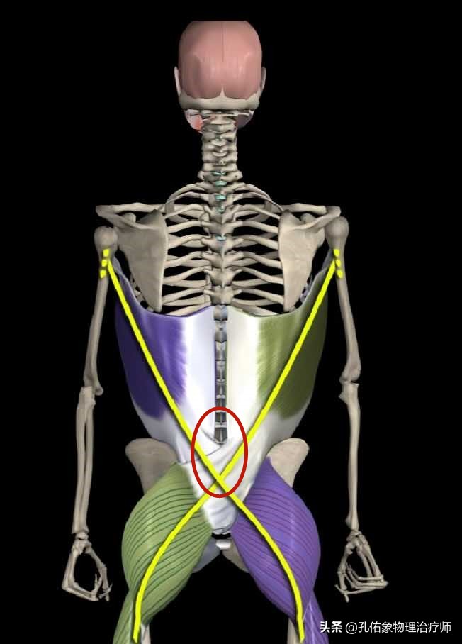 为什么腰痛患者弯腰时会加剧疼痛,弯腰后腰痛的原因有哪些