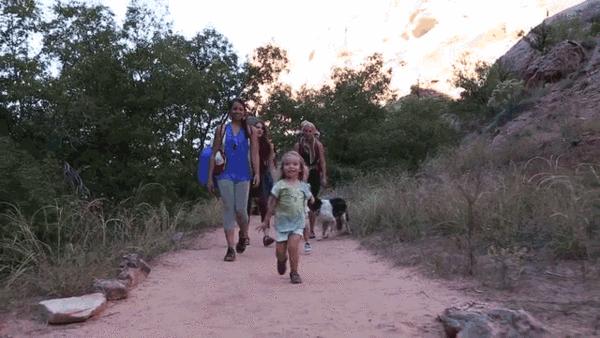 石家庄草莓采摘基地推荐,石家庄周边采摘园摘草莓