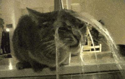 为什么不洗澡身体会变臭,长时间不洗澡会得病吗