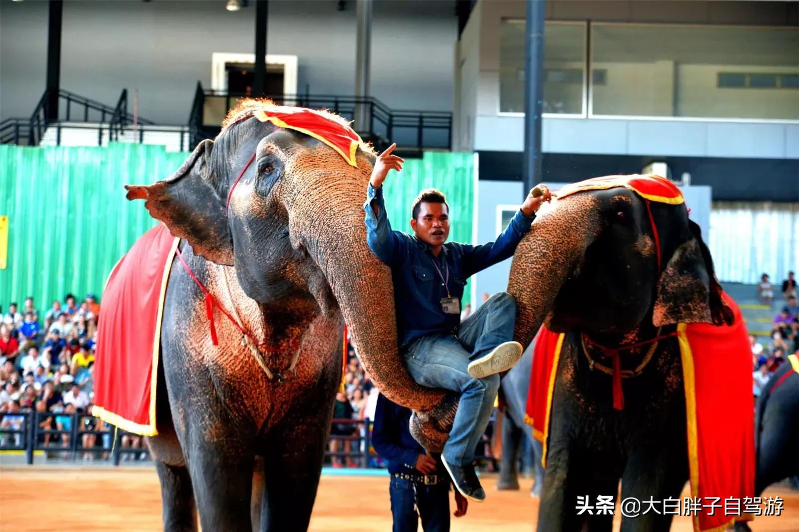 泰国风情之旅完整版,泰国风情记