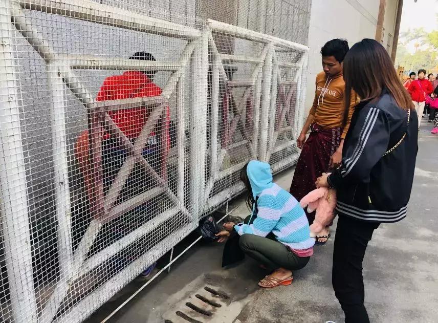 来姐告口岸体验一把非一般的跨境“网”商