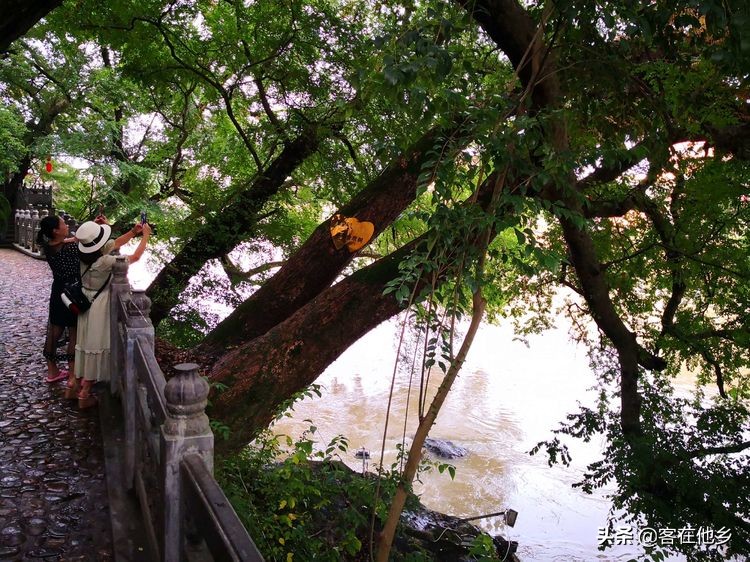 长汀县古街印象土特产,长汀古城异域风情