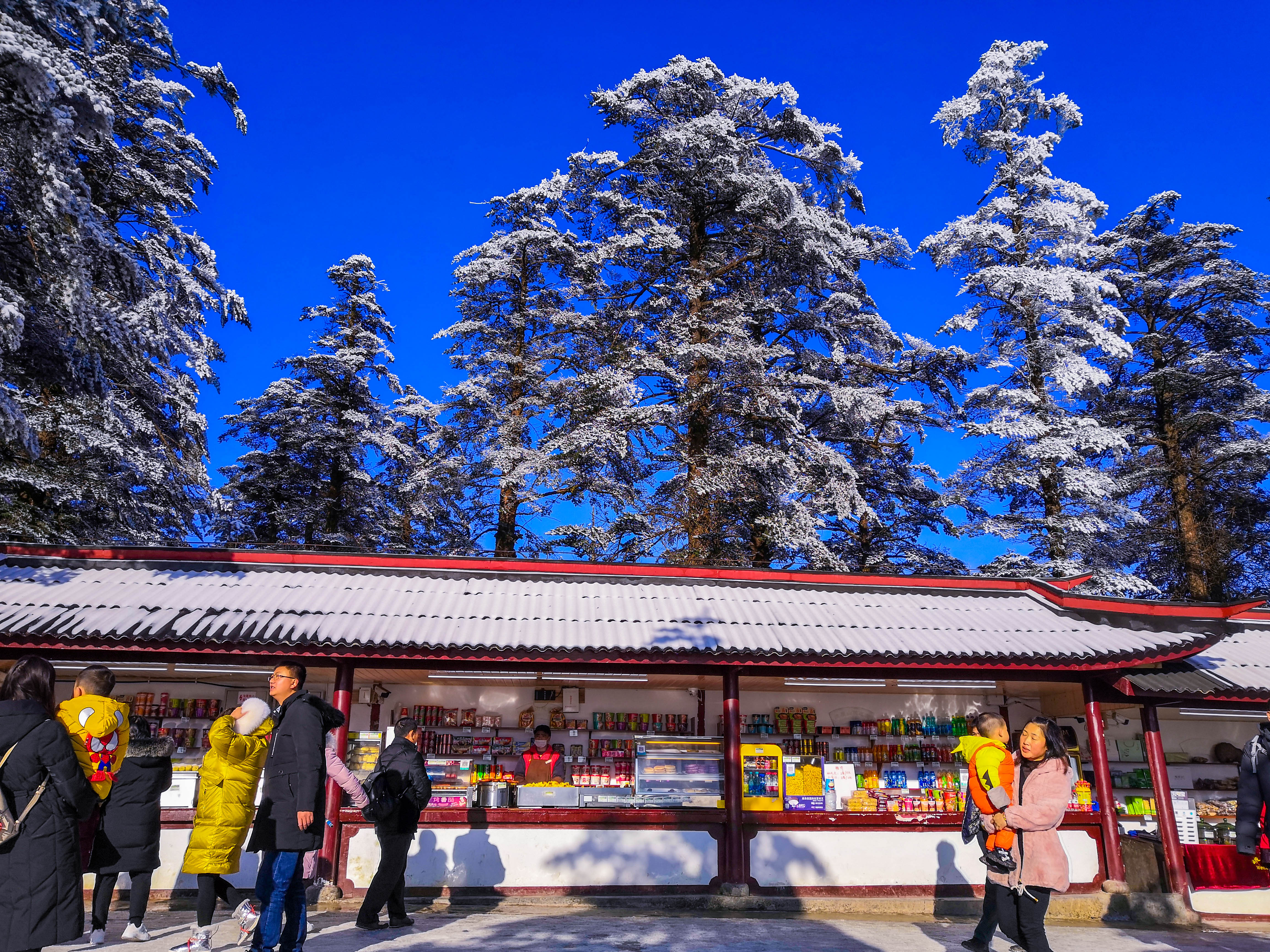 峨眉山冬雪仙境,峨眉山象城旅游
