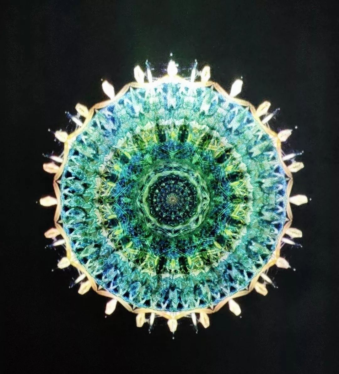 苏州国际禅意设计周,上海国际设计周苏州