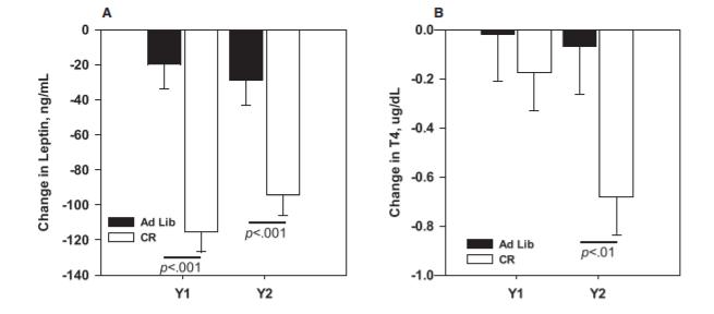 延迟衰老有诀窍,专家研究如何延缓衰老