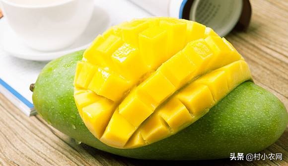 芒果采摘到成熟多少天,芒果怎样才能快速成熟