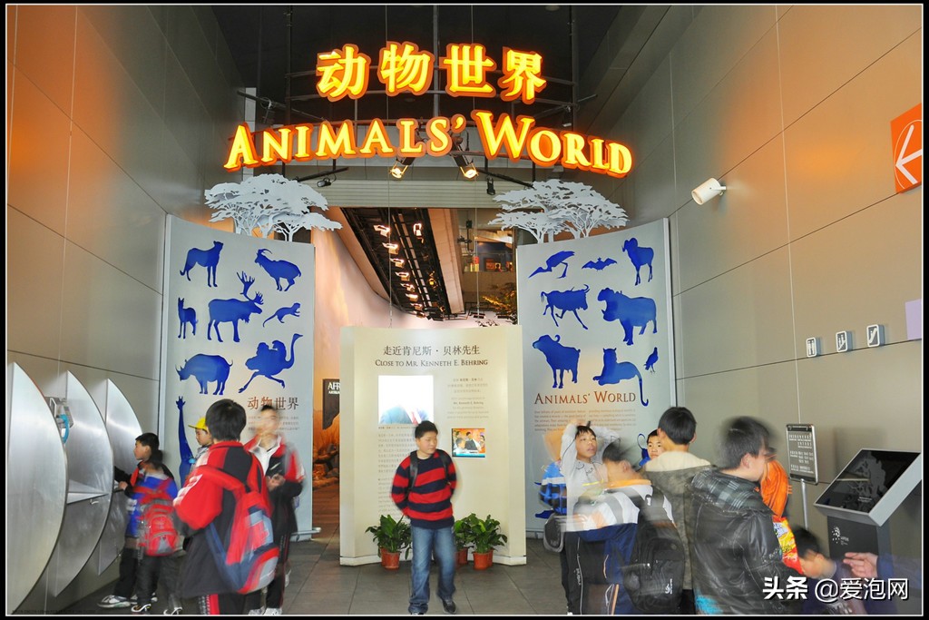 上海科技馆游玩攻略,上海科技馆亲子游玩攻略