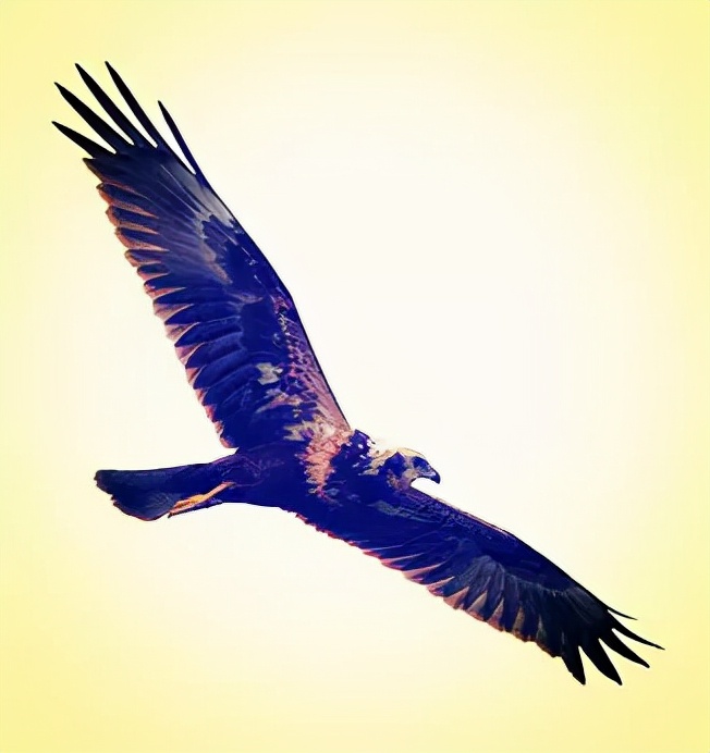 李复祯心意拳传人家谱,李复祯心意拳开膀秘法