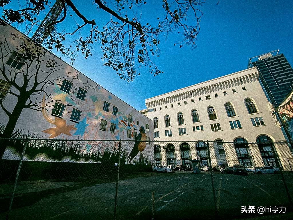 旧金山旅行指南,玩转旧金山