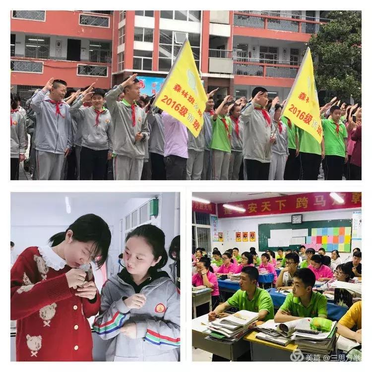 2019信阳九中中考,2019信阳九中中考成绩排名第几