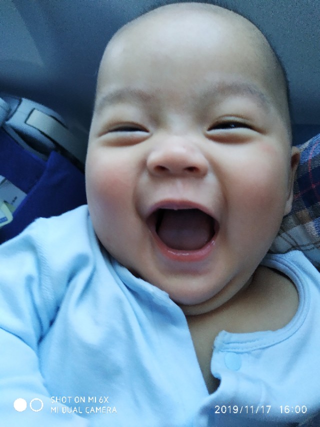 3月底日本关西8日游攻略,日本关西旅游攻略七日游