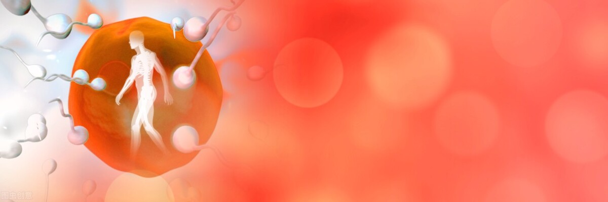 备孕期间如何提高精子质量,备孕期间如何提高精子卵子质量