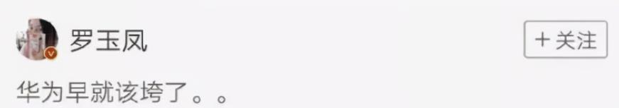 网红第一人罗玉凤,网红罗玉凤现象