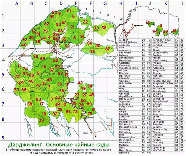 伯爵红茶历史,伯爵到底是谁