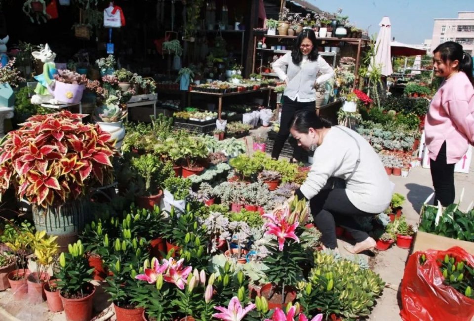 深圳年货批发市场进货渠道,深圳宝安区年货批发市场