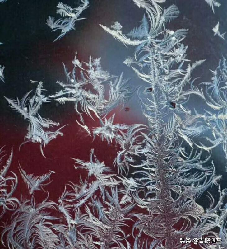 玻璃窗上的霜花像什么,玻璃上的霜花是什么样子