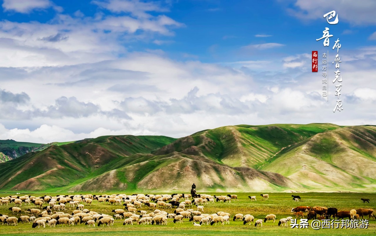 哼，又想「骗」我去*疆新**旅游！