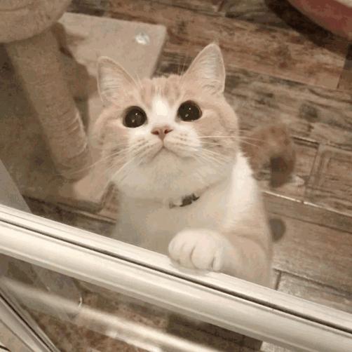 一招教你解决肌肤所有问题,皮肤的各种问题以及应对方法