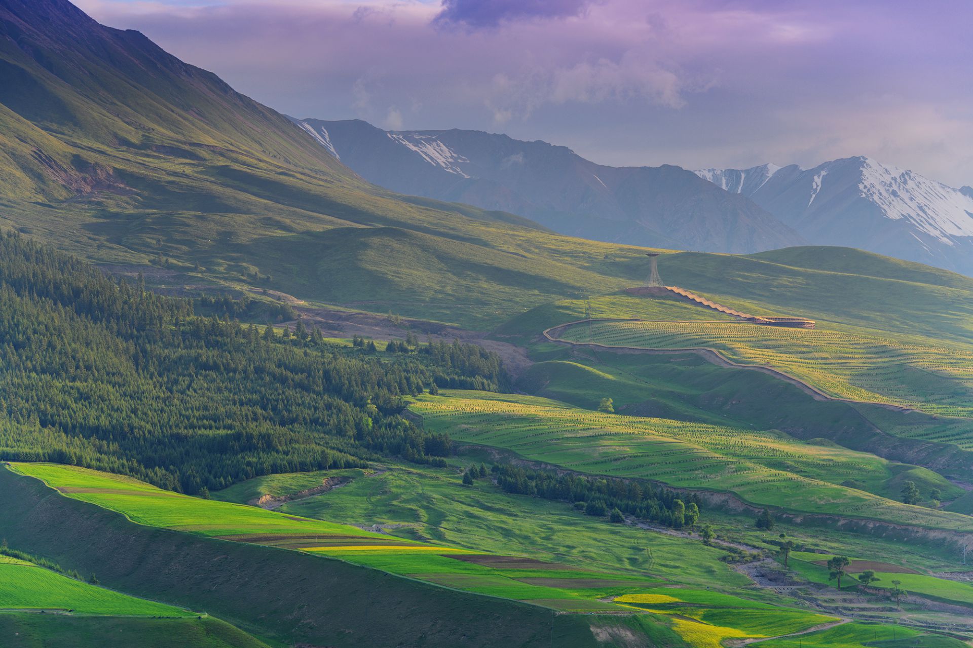 尼康z7最新人像片欣赏图,尼康z7摄影讲解