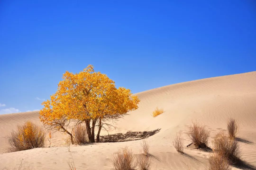 青海旅游攻略景点必去,一生一定要去一次青海吗