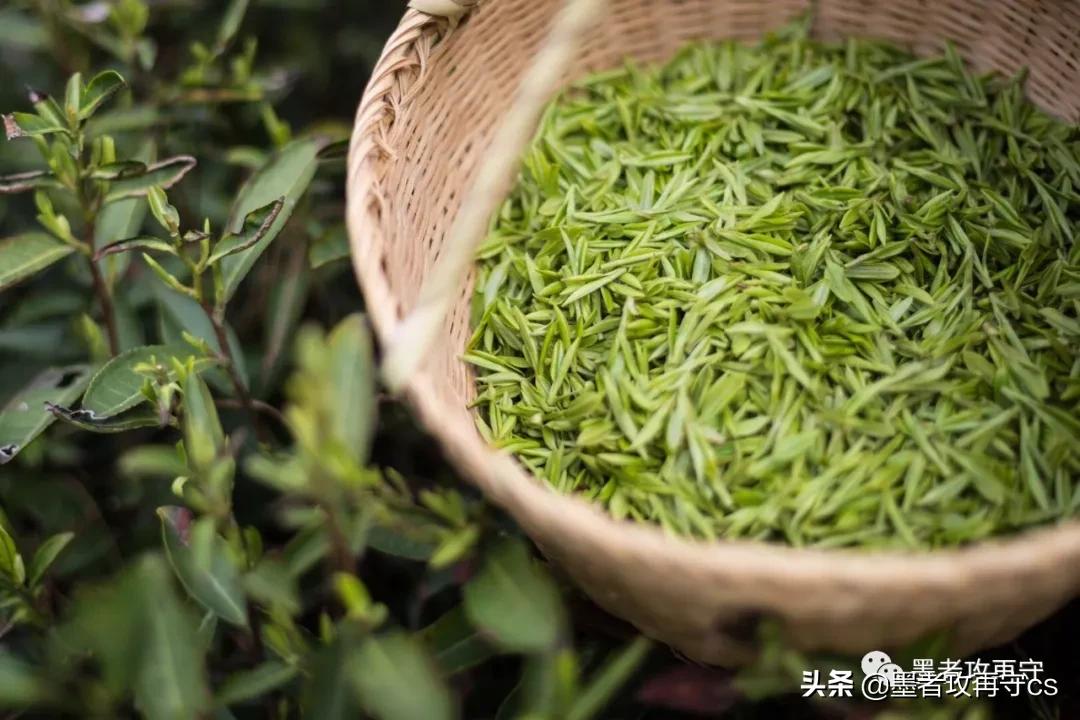 常熟这座城市给你的印象是什么,常熟这座城有你的故事吗