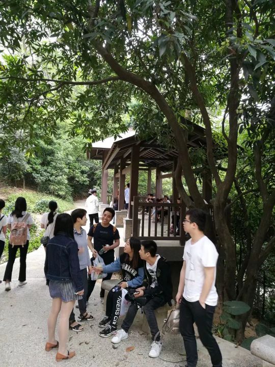 广州白云山游记作文,难忘的旅行广州白云山