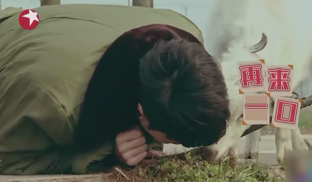 张艺兴跟杨天真合作什么时候结束,张艺兴与杨天真解约原因是什么