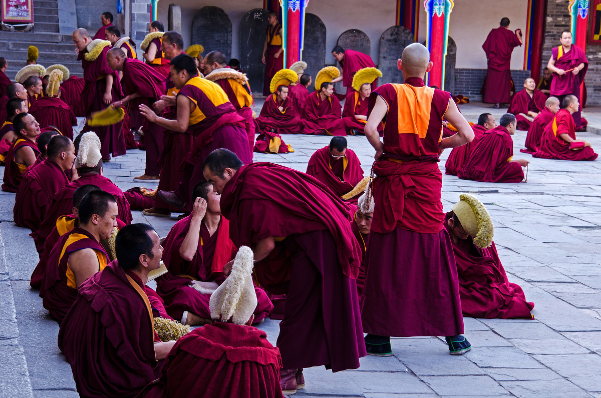 有多少达曼人入中国国籍,为什么让达曼人入中国籍