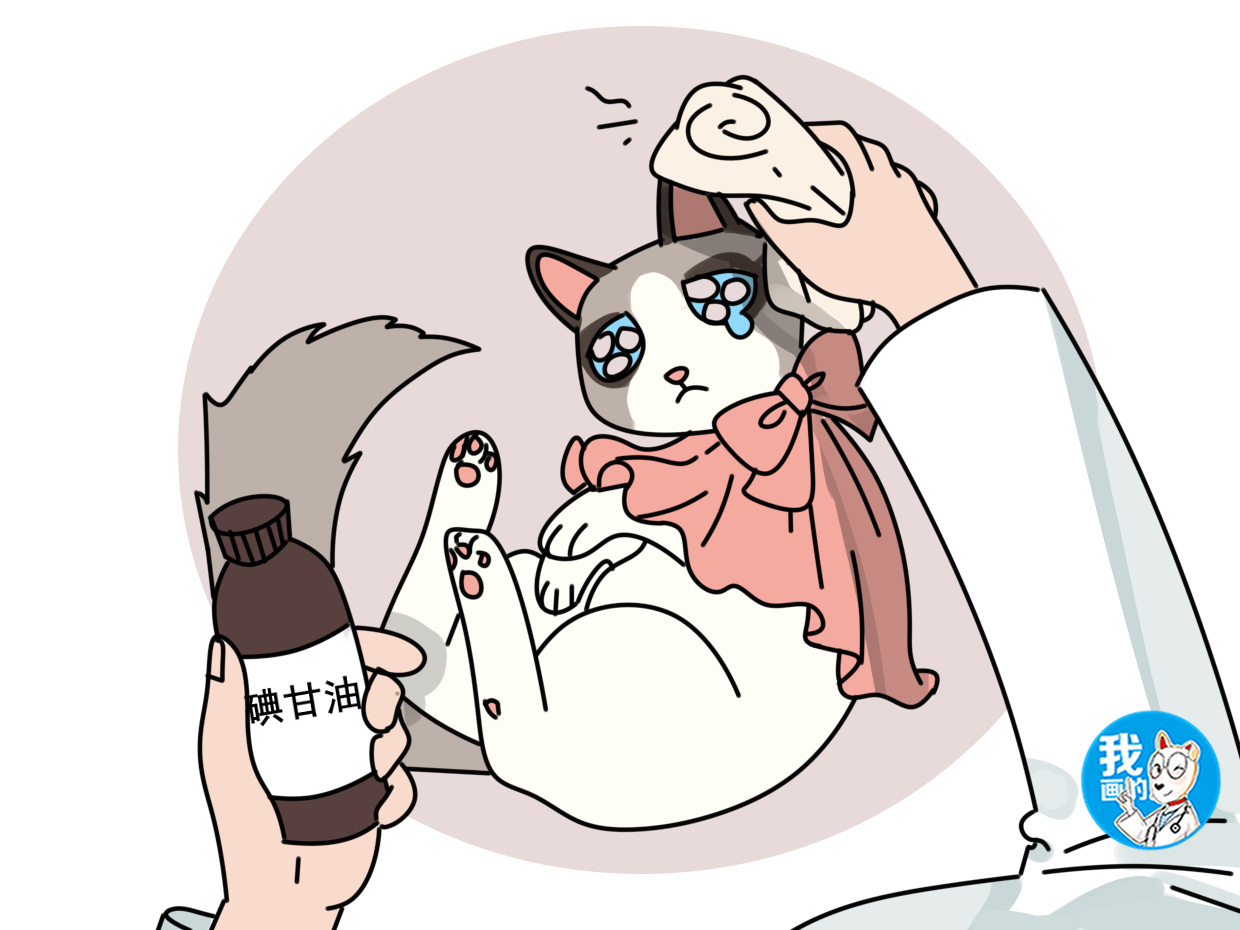 猫咪室内温度多少就怕冷了,辟谣猫鹦鹉热