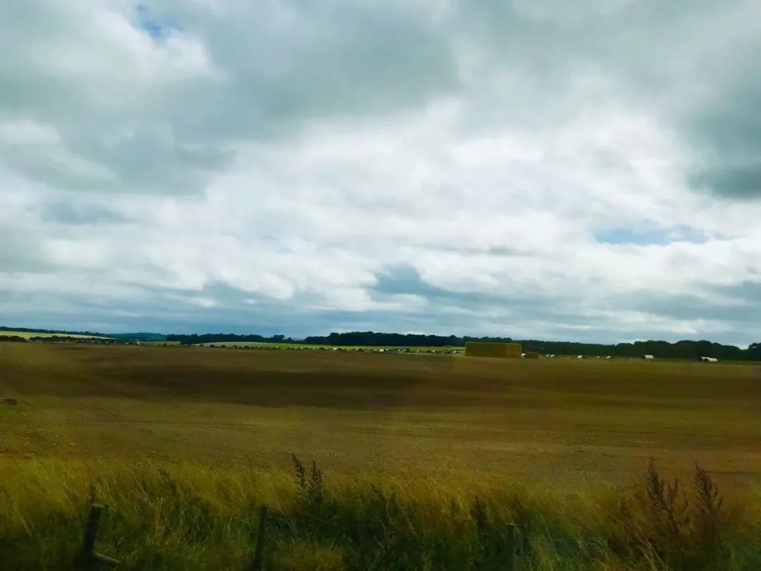 英伦旅行,英伦游学记全集