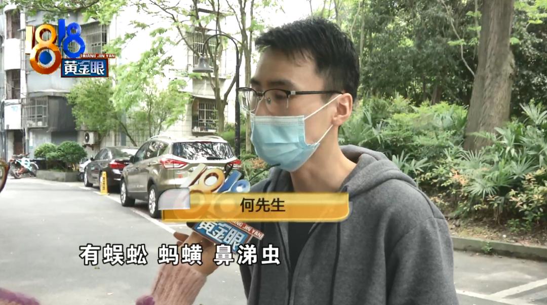 北京出租屋里有小虫子,出租屋全是虫子能退租吗