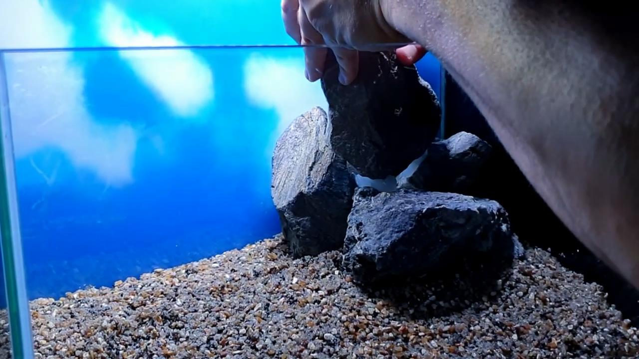 石头观赏鱼缸建造图,4块石头造景20缸