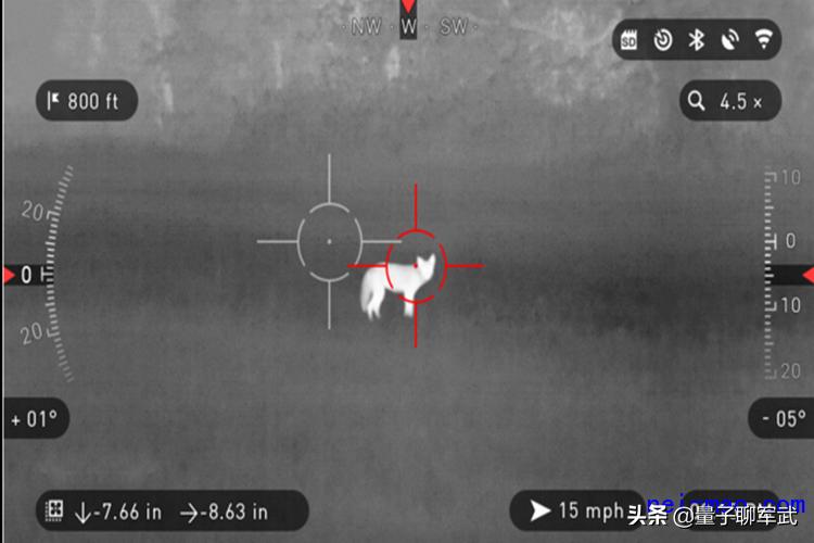 仙人指路夜视,仙人指路灯光