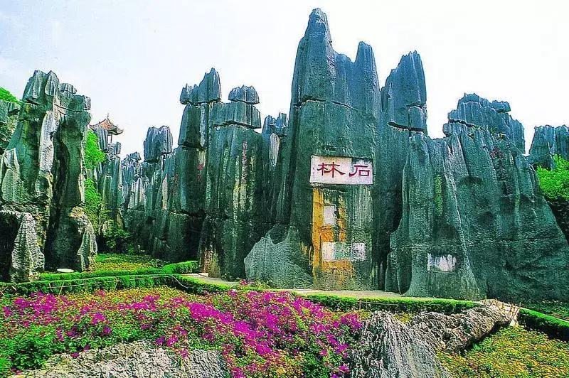 昆明石林景区值得去吗,昆明石林精华景点