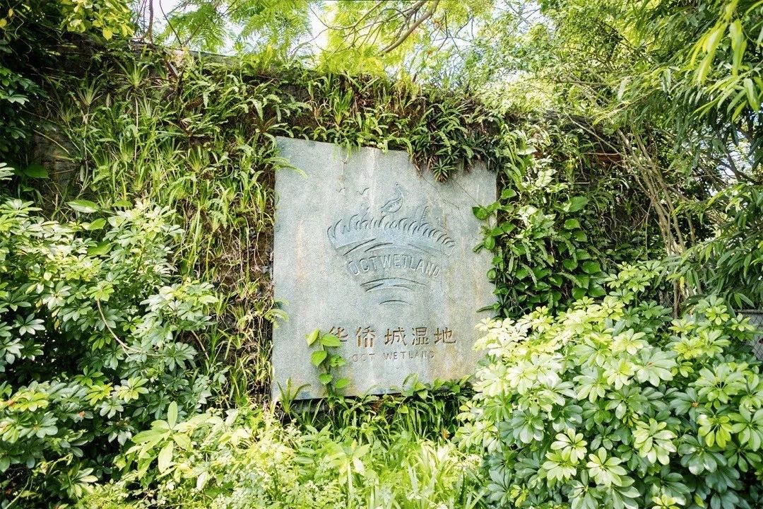 深圳游玩好去处攻略,深圳7个自驾游免费好去处推荐