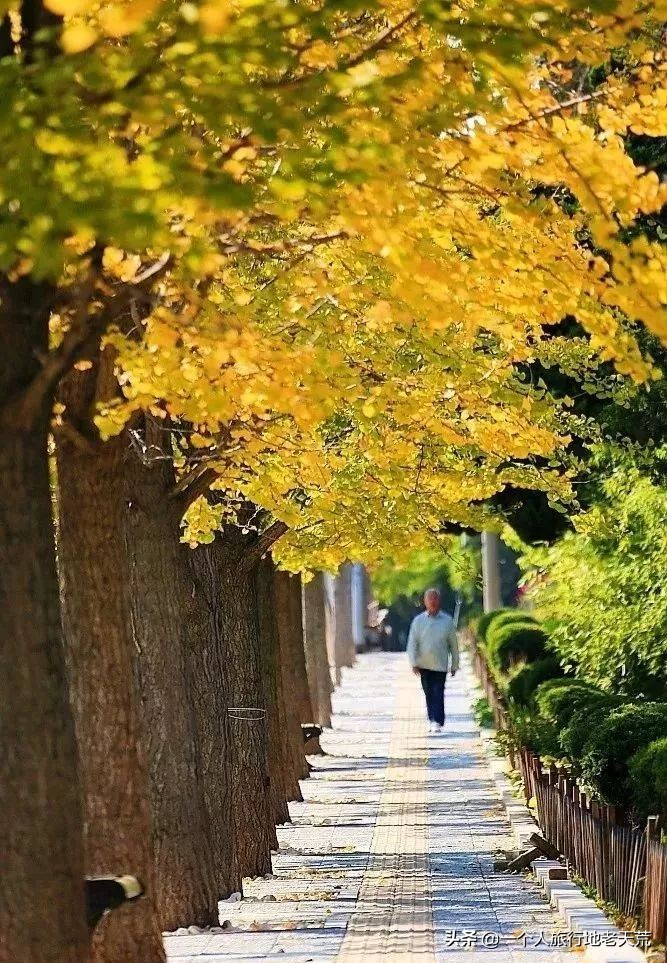 厦门海滨老城旅游,厦门最美海滨城