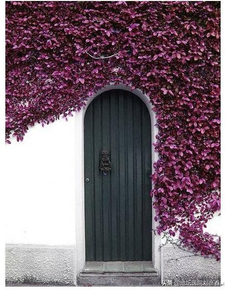 要如何保护好子宫和宫颈,保护宫颈用什么药