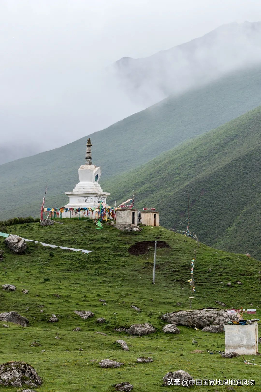 甘肃武威富裕吗,武威威武完整版