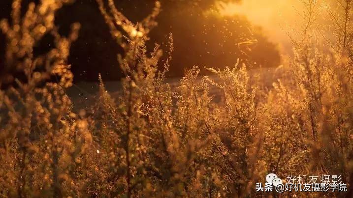 防眩光的正确调法技巧,简单四招提升短片氛围感