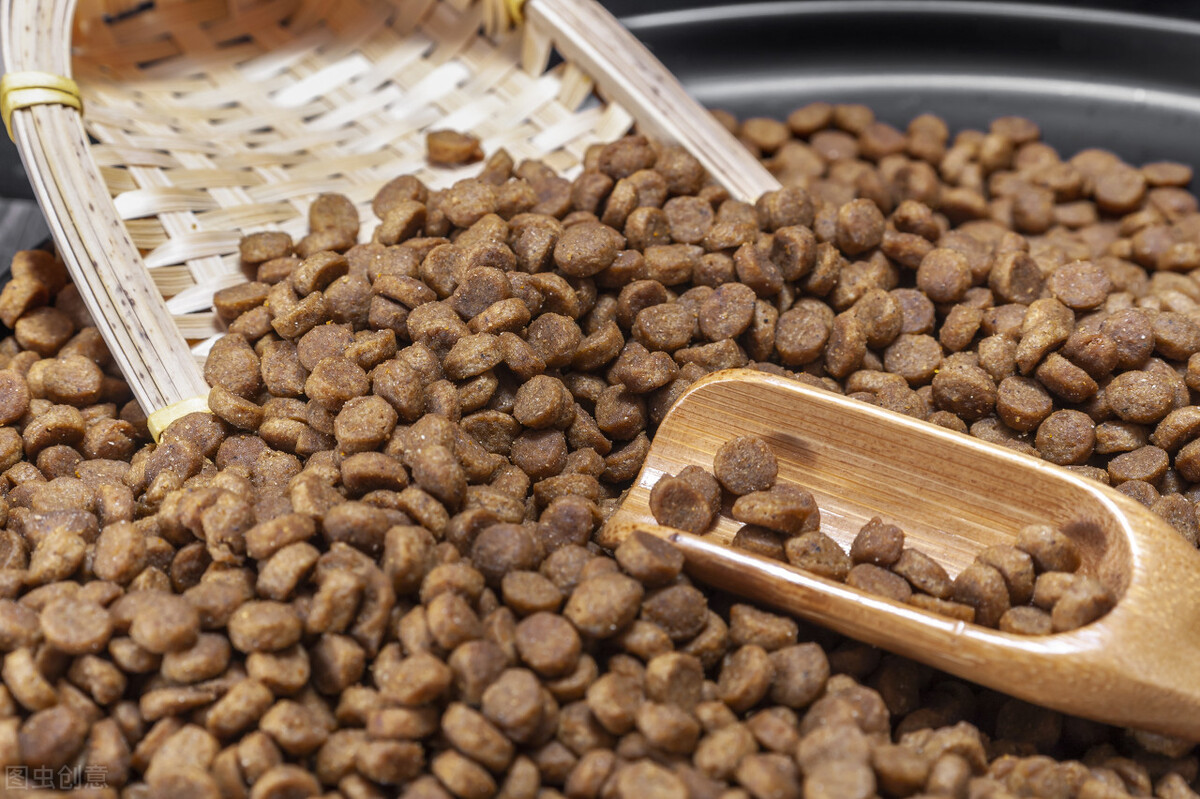 狗狗早上食欲不好晚上食欲好,狗狗精神不好没食欲怎么回事