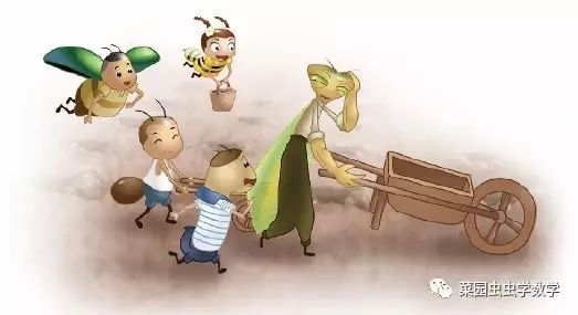 菜园虫虫学数学：种豆苗（植树问题）