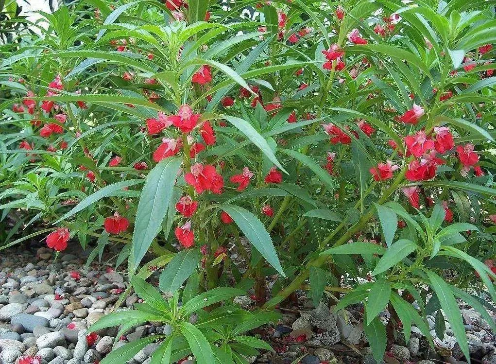 中国古时对月份的雅称,十二月份的别称和雅称