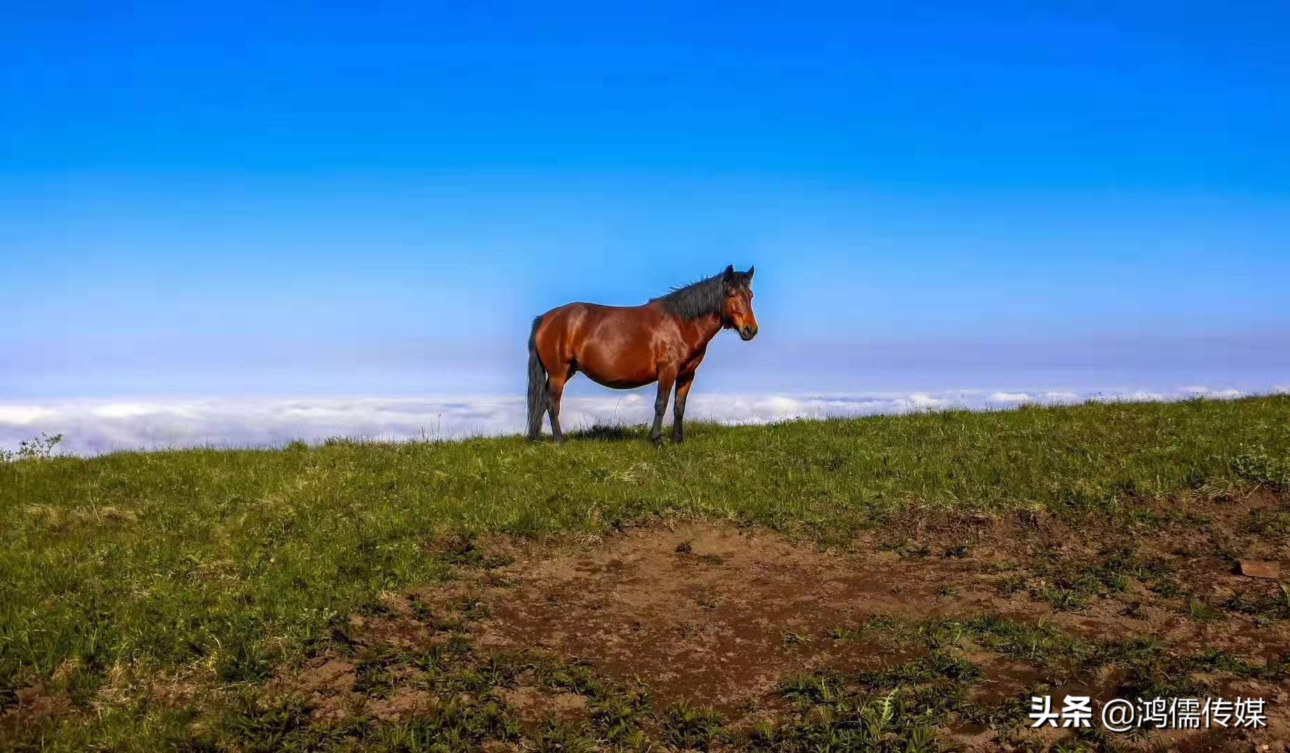 陇头水诗词,陇头水二首古诗