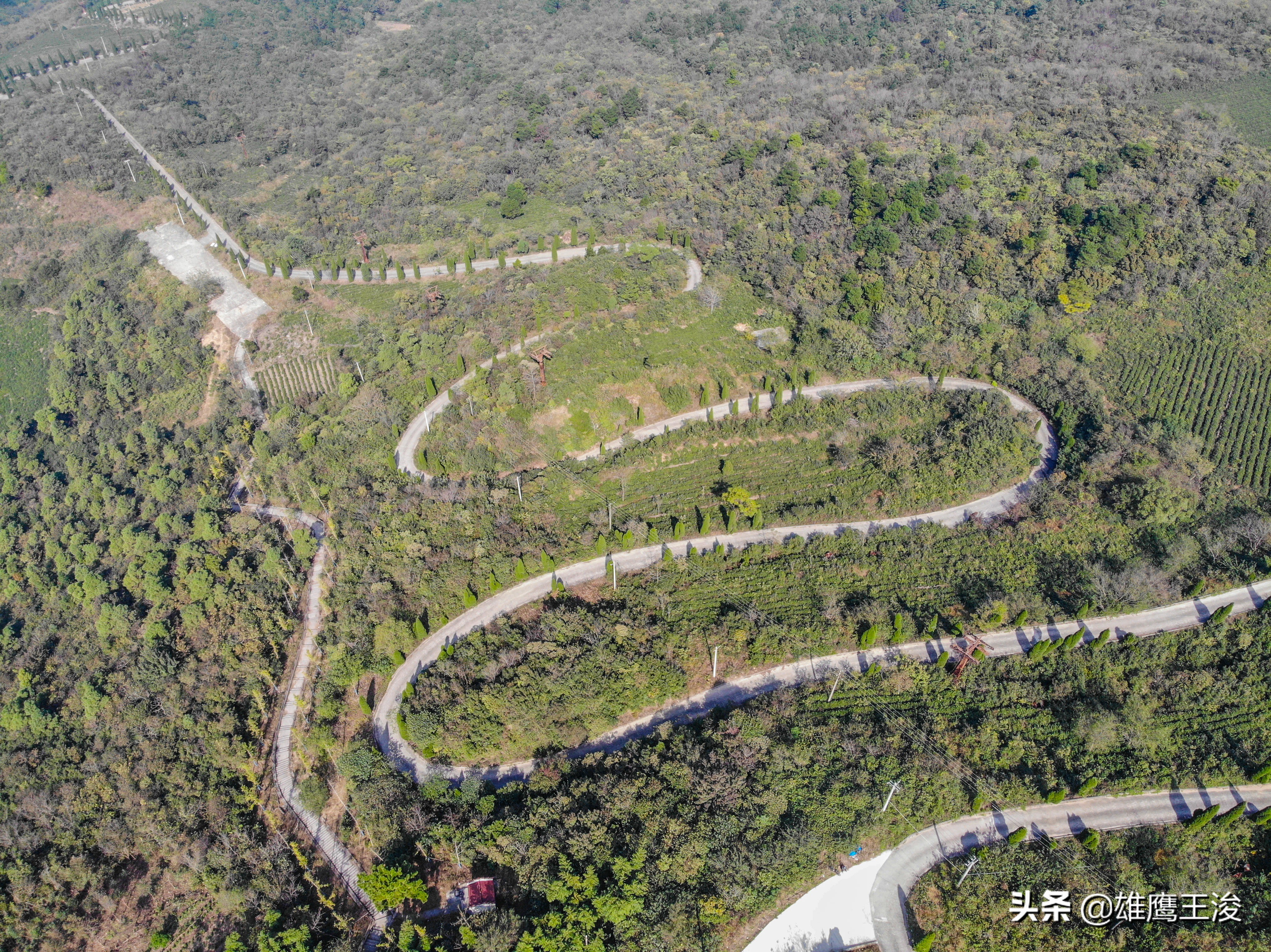 合肥11月份旅游景点大全最新,合肥十月最值得去旅游的四个地方