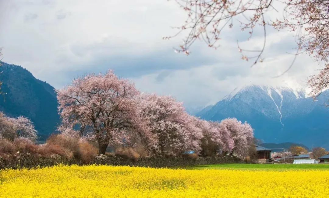 波密到鲁朗细雨蒙蒙,波密到林芝冰川