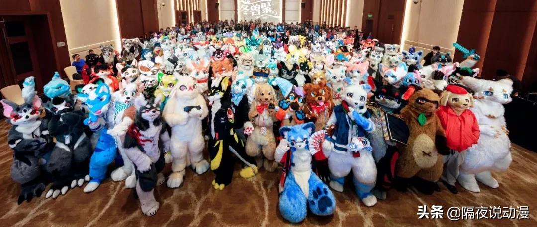 Lo圈、设圈、饭圈、娃圈!我在这里看到00后“摆脱韭菜”的另一面