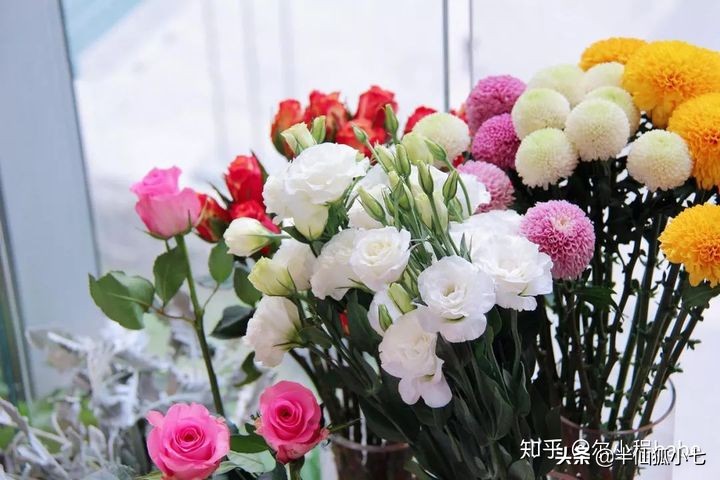 抖音爆火视频「毒鸡汤」情感分析,田园女权再次泛滥?