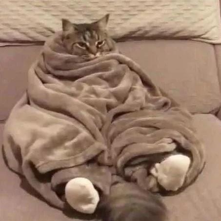 重复文件查找神器,免费文件内容搜索神器