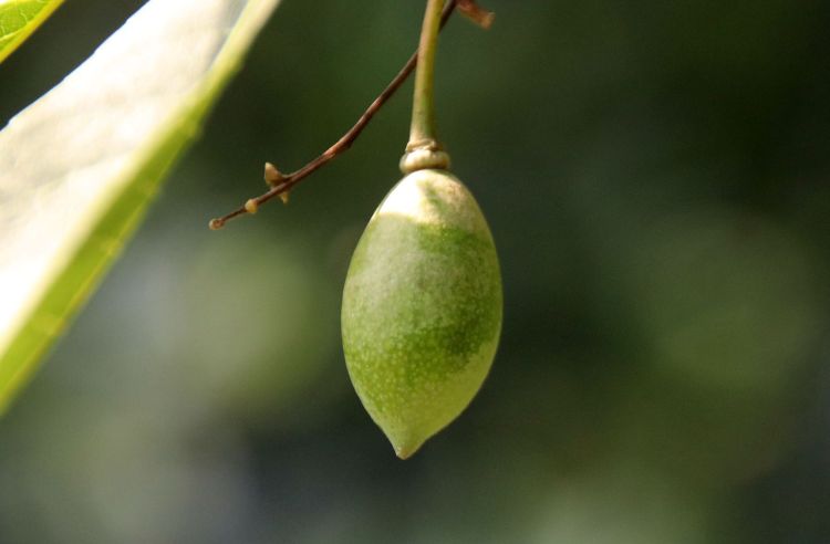做人不要太精明有时会害了自己,做人要踏实不要玩心机耍小聪明